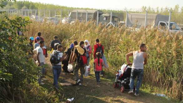 ЕК опасается увеличения притока беженцев в ЕС из-за боев в Сирии | Русская весна