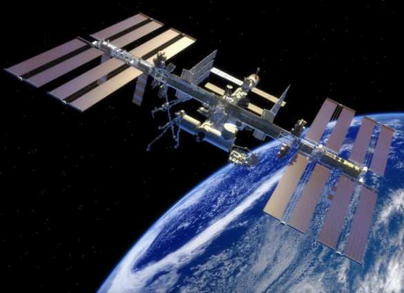 Астронавты опубликовали фотографию первого распустившегося на МКС цветка (ФОТО) | Русская весна