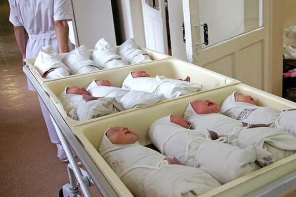 «Украина превращается в онлайн-магазин с младенцами», — детский омбудсмен | Русская весна