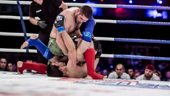 Сборная России выиграла все золотые медали чемпионата ММА в Германии | Русская весна