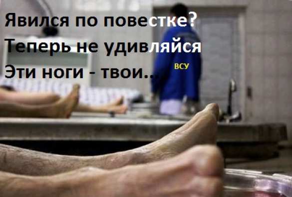 Безумие постмайданного милитаризма: на Украине планируют провести ещё три волны мобилизации | Русская весна