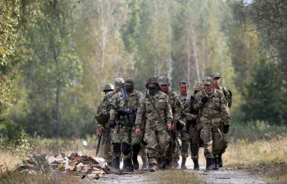 Порошенко подписал закон «о мобилизации» | Русская весна