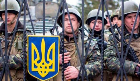 Побег не удался: 19 украинцев пытались пересечь границу со Словакией, но их поймал дрон (ВИДЕО) | Русская весна