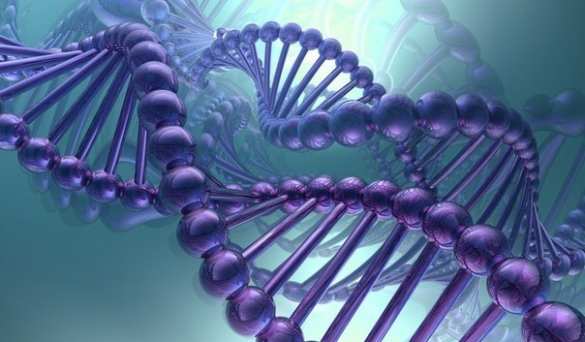 Американские ученые впервые «починили» ДНК в человеческом эмбрионе | Русская весна