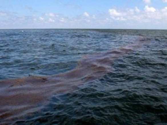 Турецкое судно разлило нефть возле Мариуполя, загрязнено 11 700 квадратных метров воды | Русская весна