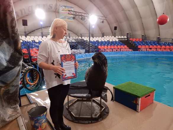 В Санкт-Петербурге морской котик поймал пьяного нарушителя (ВИДЕО) | Русская весна