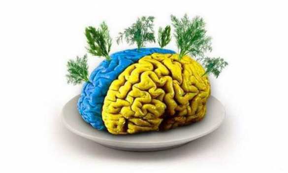 «Не хватает мозгов»: ВСУ заставляют занимать оборону там, где нет шанса просидеть и несколько часов | Русская весна