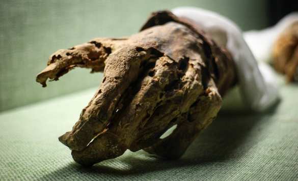 Кричащая мумия с перекошенным от ужаса лицом: раскрыта тайна внезапной смерти древней принцессы (ФОТО) | Русская весна