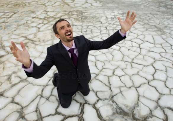 Украинский министр заявил, что «умолял на коленях» Маска поставить системы Starlink | Русская весна