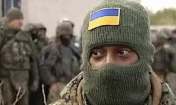 Минобороны ДНР получило данные об иностранных наемниках в батальонах карателей | Русская весна