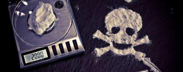 В аэропорту Киева нашли наркотики на миллион долларов (ФОТО) | Русская весна