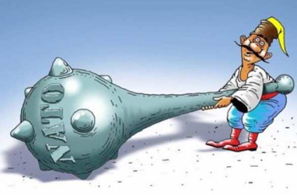 Украине предстоит много работы, чтобы добиться членства в НАТО, — Госсекретарь США  | Русская весна