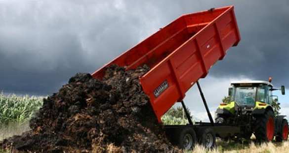 Это Украина: в центре Киева навозом завалили элитный бутик (ФОТО) | Русская весна