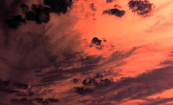 Армия Нидерландов не смогла сбить неизвестные дроны над авиабазой с ядерным оружием США | Русская весна