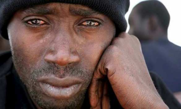 В США заявили, что будут принимать белокожих беженцев из Европы и ЮАР | Русская весна