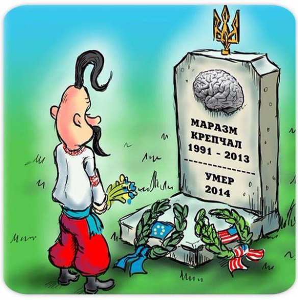 В Совете Федерации рассказали, кто поставил Украину на колени | Русская весна