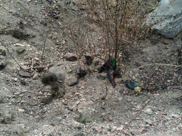 Наблюдатели ОБСЕ потрясены зверствами карателей и признают геноцид: убито множество людей, изнасилованы несовершеннолетние | Русская весна