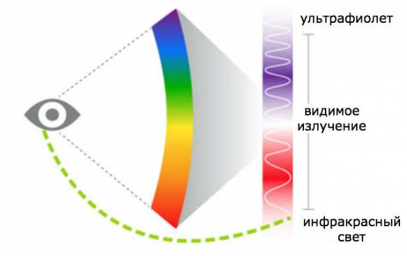 Незримый свет. Когда человек может видеть инфракрасное излучение? | Русская весна