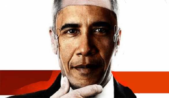 Товарищ Обама: в США вышла книга-разоблачение «марксистского агента Барака» (ФОТО) | Русская весна