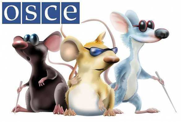 «Мы вас раздерём на куски!» — жители уничтожаемого ВСУ села накинулись на ОБСЕ (ВИДЕО) | Русская весна