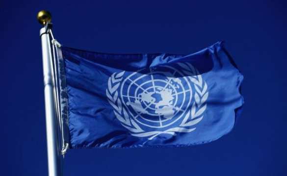 Миссия ООН начала проверку по фактам массовых задержаний на оккупированных территориях Донбасса | Русская весна