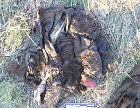 Mass grave of civilians killed by Ukrainian Nazi found in Donbass (PHOTO) | Русская весна