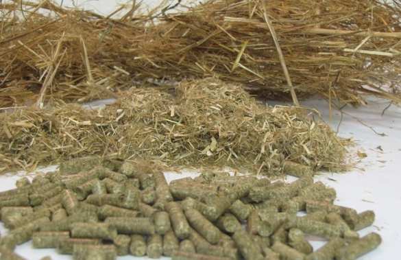 Прогресс по-украински: город будут отапливать соломой и щепой | Русская весна