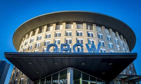 Стало известно, какие страны поддержали российское заявление в ОЗХО (ФОТО) | Русская весна