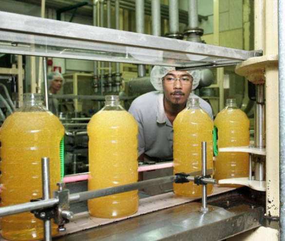 Правительство России хочет ввести налог на пальмовое масло и газировку | Русская весна