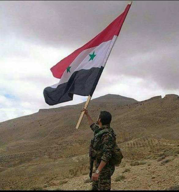 ВКС РФ и сирийские войска освободили около 500 населенных пунктов | Русская весна