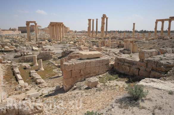 Шойгу предложил сербским саперам помочь РФ в разминировании Пальмиры (ВИДЕО) | Русская весна