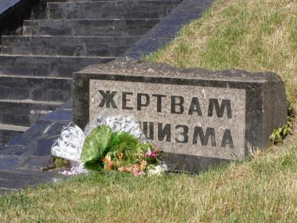 Чешские депутаты назвали фашистской политику Киева на Донбассе | Русская весна