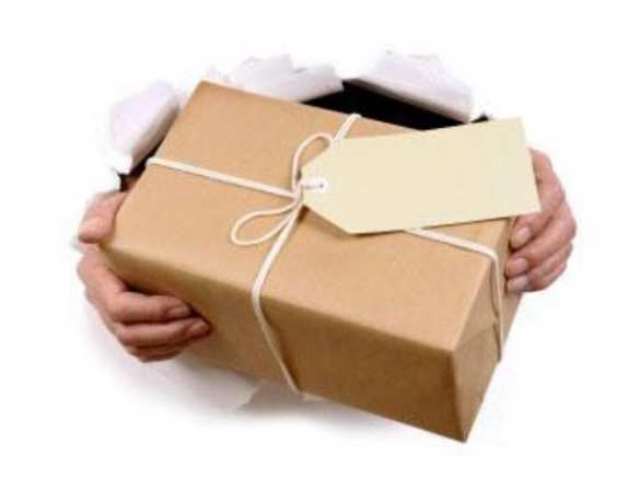 В США игрушку для ванной приняли за бомбу | Русская весна