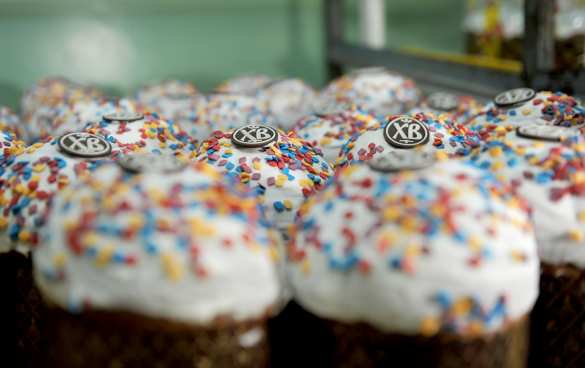 Папа Римский предложил установить двухнедельное перемирие в зоне СВО | Русская весна