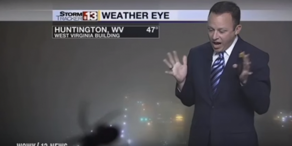 Испугавшийся паука американский телеведущий стал звездой Youtube (ВИДЕО) | Русская весна