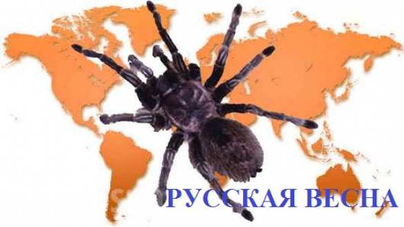Внешняя политика: Итоги 2014 года от «Русской весны» | Русская весна
