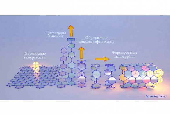 Российские химики научились сворачивать графеновые листы в трубки | Русская весна