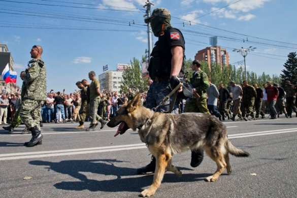 ДНР не берет в плен гражданских лиц в отличие от Украины | Русская весна