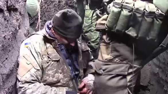 На Днепропетровском направлении подразделение ВСУ сдалось в плен армии России (ВИДЕО) | Русская весна