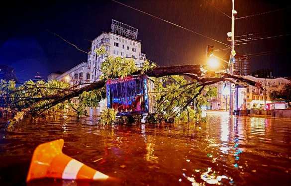 Киев завален мусором: последствия ночного урагана (ФОТО, ВИДЕО) | Русская весна