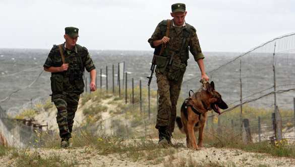 Мошенник построил «границу» в выборгском лесу и за деньги переправлял через неё нелегалов (ФОТО, ВИДЕО) | Русская весна