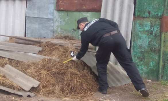 Военнослужащий ВСУ ушел в самоволку и умер от отравления алкоголем (ФОТО) | Русская весна