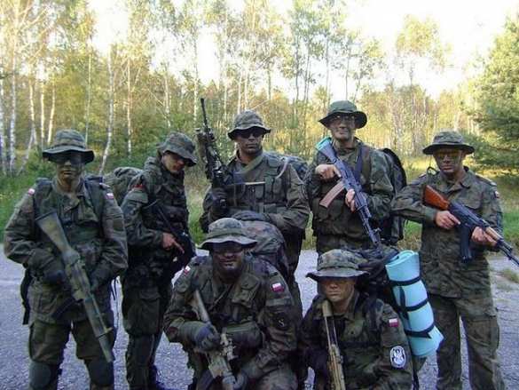 Польша вооружит 100 тысяч добровольцев из военизированных гражданских организаций | Русская весна