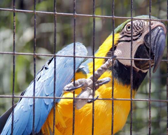 Добро пожаловать в гетто: в Польше украинских работников обязали носить сине-желтую униформу | Русская весна