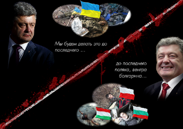 Солдатские матери Украины: Национальные меньшинства как «пушечное мясо» на службе Киева | Русская весна
