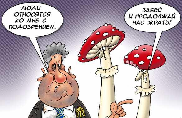 «Не стоит недооценивать Порошенко и его сумасшедшие грибы» (ВИДЕО) | Русская весна