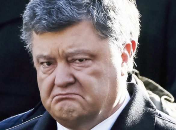 Жириновский пообещал «маленькую Хиросиму лично для Порошенко» (ВИДЕО) | Русская весна