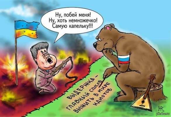 В Совфеде высмеяли заявление Порошенко о «войне с Россией» | Русская весна