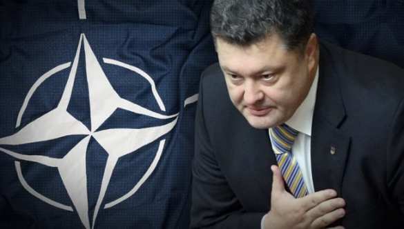 «Библейский путь» Киева в НАТО | Русская весна