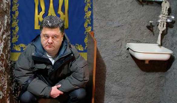Лавров указал на место Порошенко в мировой политике: уровень Петра — «случайная встреча у туалета» | Русская весна